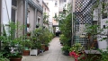 cour fleurie dans le 14 eme arrdt